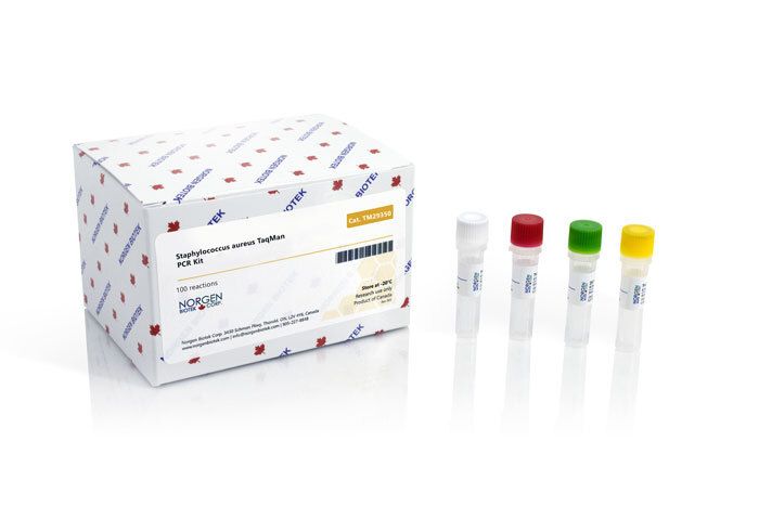 Staphylococcus aureus Detection Kit (100 reactions)